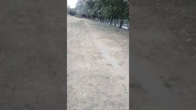 Видеоэкскурсия вдоль Большого Солнцевского пруда