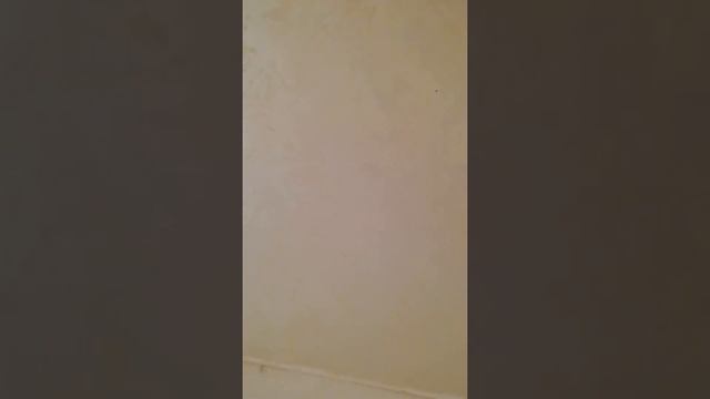 Декоративная штукатурка "Морской бриз" "Пустыня сахара" смотреть онлайн