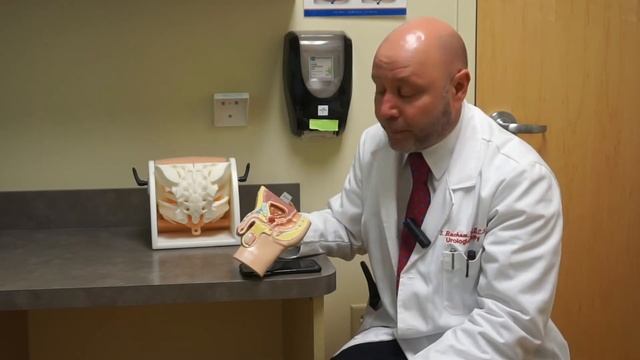 Ask Dr. Shammai Rockove (1uro com) - Episode #19 - "Weak Urine Stream” смотреть онлайн