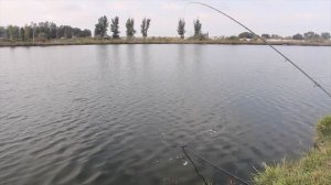 ЛОВЛЯ КАРАСЯ ХОЛОДНОЙ ОСЕНЬЮ... РЕЗУЛЬТАТ УДИВИЛ ЧЕСНОК И АНИС ЛУЧШАЯ ПРИКОРМКА НА КАРАСЯ