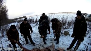 ошкуривание и разделка лося