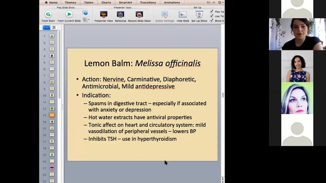 Herbal Medicine for Anxiety + Stress Management смотреть онлайн