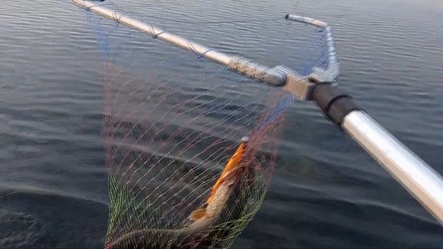 Рыболовный сезон 2022 за 15 минут. смотреть онлайн