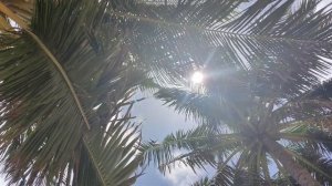 Наши Мальдивы. Август 2022. Бюджетные Мальдивы, о.Тодду