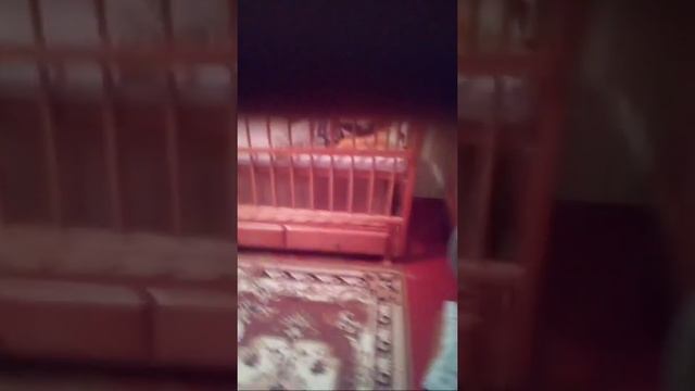 Наша Новая Кроватка смотреть онлайн