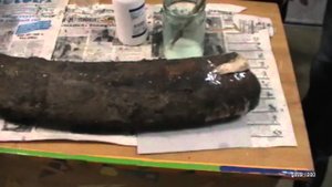 Музей эволюционной экологии и археологии г.Волжский