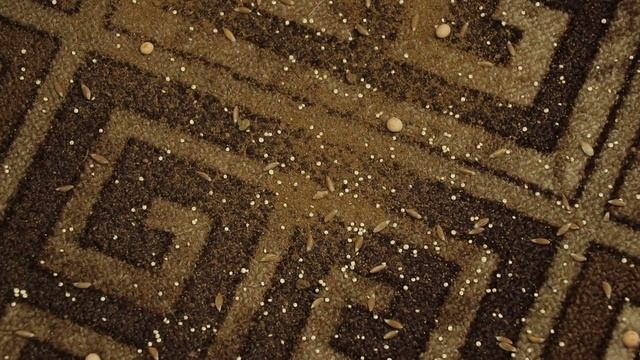 LG CordZero A9 | Обзор + ТЕСТ ? Лучший МОЮЩИЙ пылесос В 2021 ? Вертикальный БЕСПРОВОДНОЙ пылесос смотреть онлайн