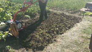Мотоблок Агат небольшая фрезеровка под редиску