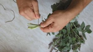 Как сушить мяту в домашних условиях на зиму