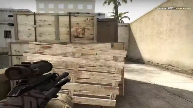 CS:GO. Ace by Blanche смотреть онлайн