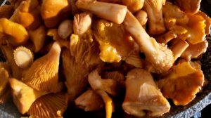 Солянка с лисичками. И с картошечкой зимой, и как приятный презент.