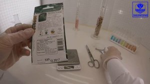 Капуста савойская Золотая Ранняя. Поиск