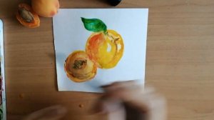 Абрикосы, медовая акварель. #Рисование_для_всех, #DrawingForYou, #paintingtutorials.