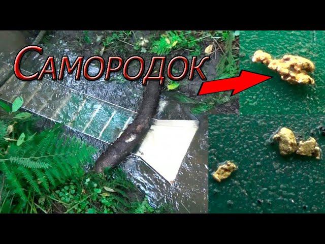 По тихому мою золото минишлюзом! САМОРОДОК!!!!