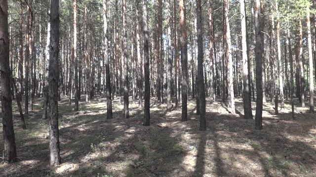 Беспроводная Блютуз Колонка Tronsmart Element Splash смотреть онлайн