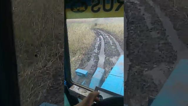 Буду сеять рис и продавать по 1 кг! смотреть онлайн