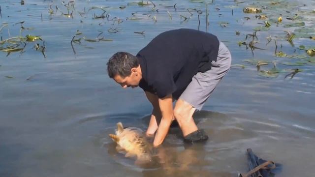 11eme Open de Chalon sur saône смотреть онлайн