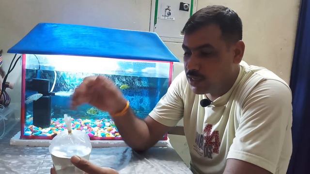 Aquarium में नई मछलियों को कैसे डाले? बाजार से लाई मछलियों को Aquarium में कैसे डाले? By THE KING, смотреть онлайн