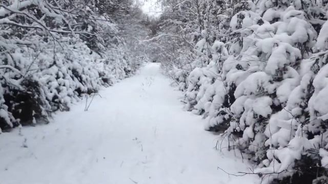 О полигоне вкратце смотреть онлайн