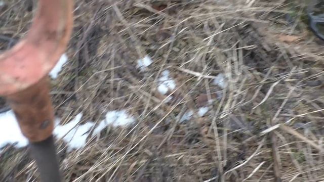 ЧТО МОЖНО НАЙТИ С МЕТАЛЛОИСКАТЕЛЕМ В УРОЧИЩЕ?  ЦАРСКИЕ МОНЕТЫ, СТАРИННЫЕ ВЕЩИ И НЕ ТОЛЬКО КОП 2020