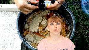 Как увеличить урожай ОГУРЦОВ в 1,5-2 РАЗА!!! Лучшая Натуральная подкормка для ОГУРЦОВ!!!