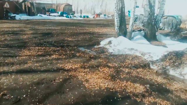 Третий рабочий день апрельский, везде грязь, лужи, подготовка к обеду))) смотреть онлайн