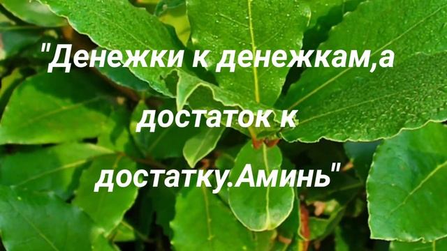 Денежный талисман. смотреть онлайн