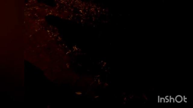 Сериал ИМРК 187 — Прогулки с собаками с Иваном Краснояровым смотреть онлайн