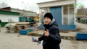 ПТИЧИЙ РЫНОК АКВАРИУМНЫЕ РЫБКИ УКРАИНА  ХАРЬКОВ 2020! Часть 1