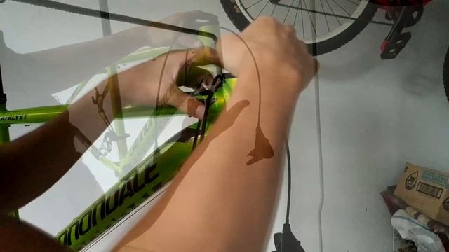 Cannondale Cataylst Linis Bottom Bracket at Headset смотреть онлайн