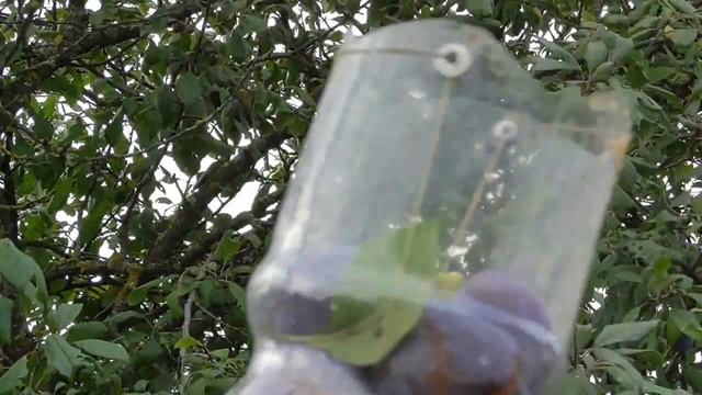 2022 Самодельный плодосъемник (захватывающий) из пластиковой бутылки смотреть онлайн