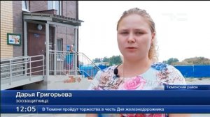 Уголовное дело за издевательство над животными