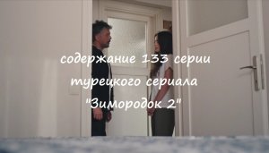 Содержание 133 серии турецкого сериала "Зимородок 2" (РФ, 2023)