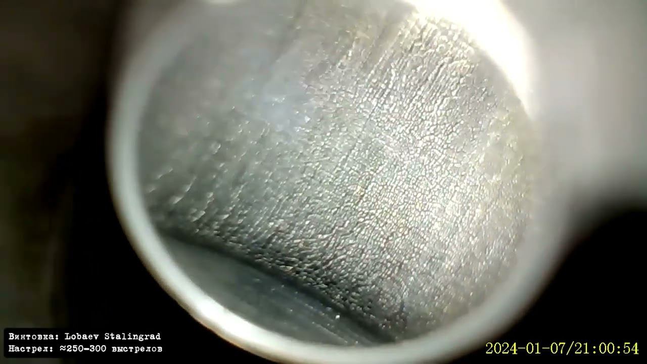 Лобаев Сталинград 338- осмотр бороскопом #lobaev смотреть онлайн