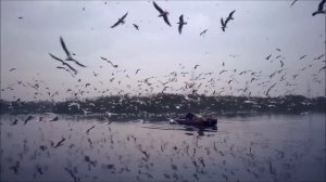 Как ведет себя женщина которая добивается мужчину?