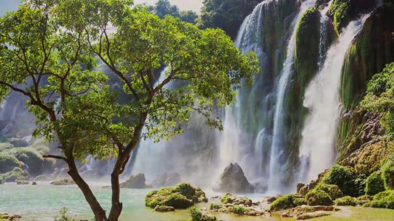 Сергей Есенин — «Свищет ветер, серебряный ветер...» смотреть онлайн