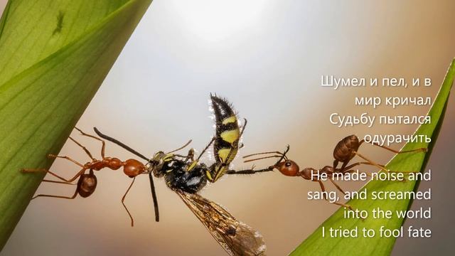 Мой путь - песочная дорога смотреть онлайн