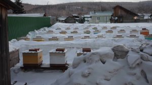 Весна2021 начало сезона