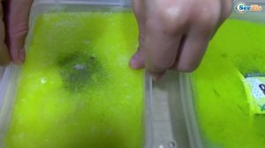 МАШИНКИ ВО ЛЬДУ! Замораживаем МАШИНКИ в ЛИЗУНАХ Car Toys Frozen!