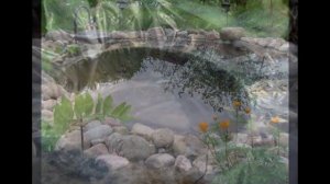 Пруд из колеса своими руками