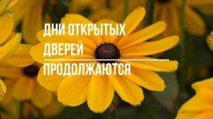 Дни открытых дверей в 'Русском Огороде' продолжаются!