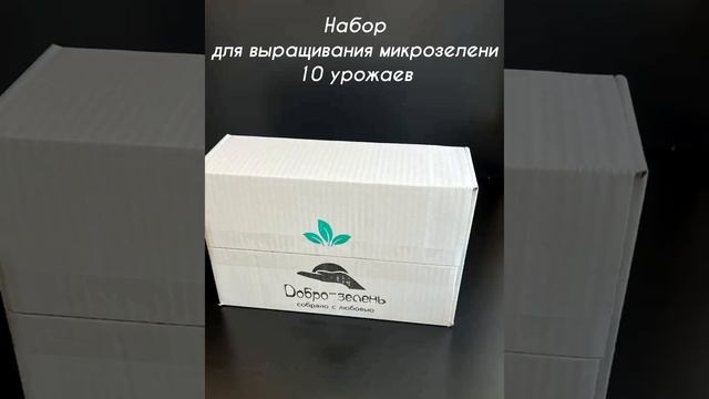 набор для выращивания микрозелени. Добро-зелень