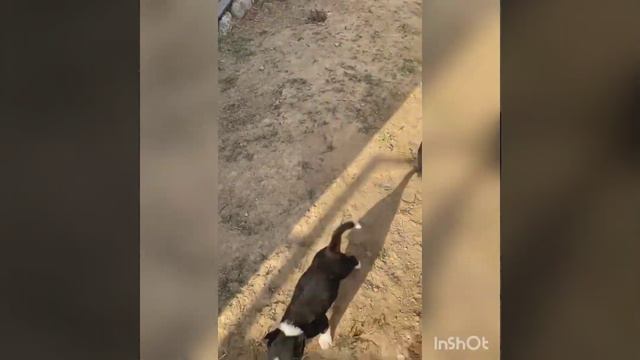 всем привет от наших подопечных!