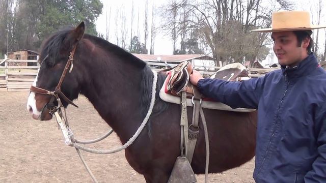 Ruben Morales, Pedro Donoso y leccion 6 a Guitarrazo смотреть онлайн