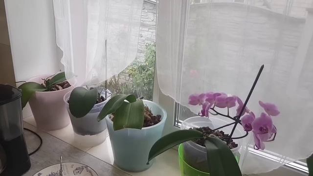 Когда хорошо мама не кричит смотреть онлайн