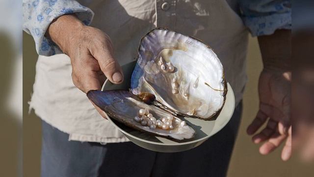 История русского жемчуга смотреть онлайн