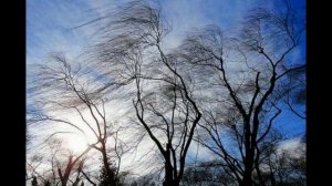 Замерзаю.mp4