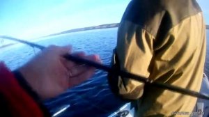 Трудовая рыбалка на Саратовском водохранилище! Сентябрь 2017.