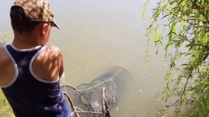 Рыбалка В ДагестанеПоставили Ловушку➠Поймвли Сазана и Сома