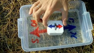 ? ПАРАДОКС МАГНИТНОГО ПОЛЯ ЗЕМЛИ УДИВИТЕЛЬНЫЙ ЭКСПЕРИМЕНТ С МАГНИТОМ  ИГОРЬ БЕЛЕЦКИЙ